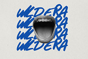 Wild Era Handwritten Marker Font, a Handwritten Font by Laras Wonderland (Thumbnail 15 of 15)