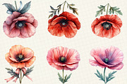 Corn Poppy Flower Bloom Clipart, an Illustration by OK Design (Thumbnail 4 of 5)