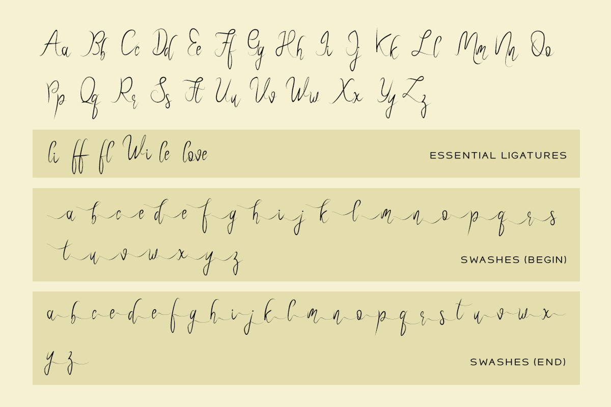 Roselind Font + Swashes & Ornaments preview 7