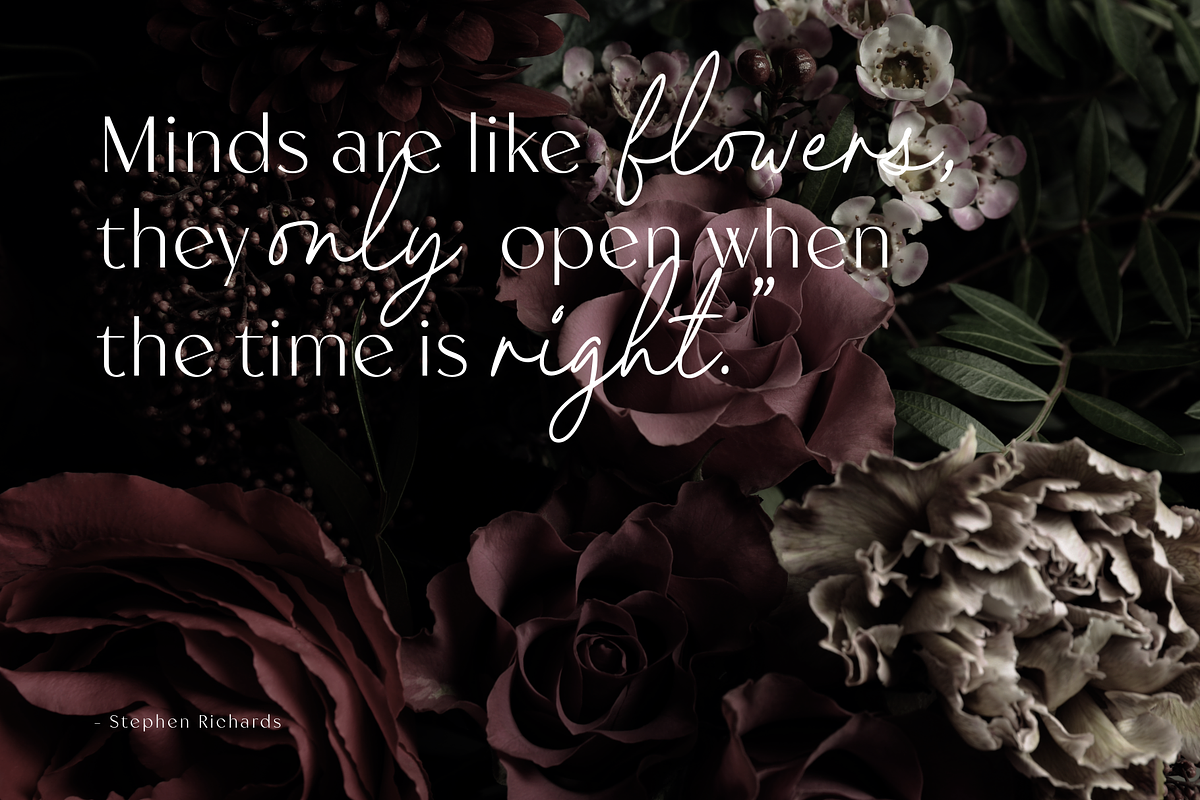 Meganoli - A Modern Font Duo, a Sans Serif Font by Ainun Jinan (Photo 8 of 13)