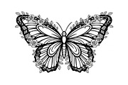 Butterfly Floral Frame SVG Bundle, an Illustration by Creativeshirt (Thumbnail 16 of 31)