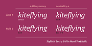 Harri Text, a Sans Serif Font by Blancoletters (Thumbnail 14 of 14)