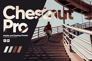 Chestnut Pro Presets for Lightroom, a Preset Add-On by Hubzway