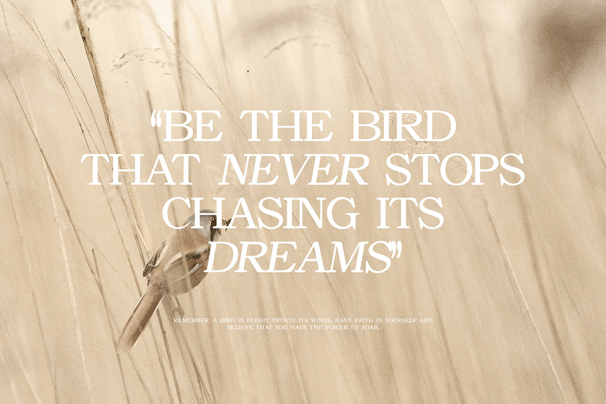 Asher Elegant Serif Font Typeface, a Serif Font by Perfectype (Photo 9 of 10)