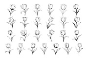 50 Tulips Procreate Stamps Brushes, a Brush Add-On by Procreate Sale (Thumbnail 5 of 6)
