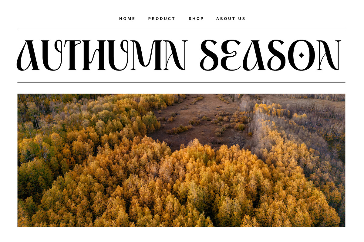 Coplifher - Modern Serif Font, a Serif Font by Mine Type Lab (Photo 10 of 10)