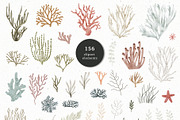 AQUATALES | 170+ elements, an Animal Illustration by Oksana Stepova (Thumbnail 17 of 19)