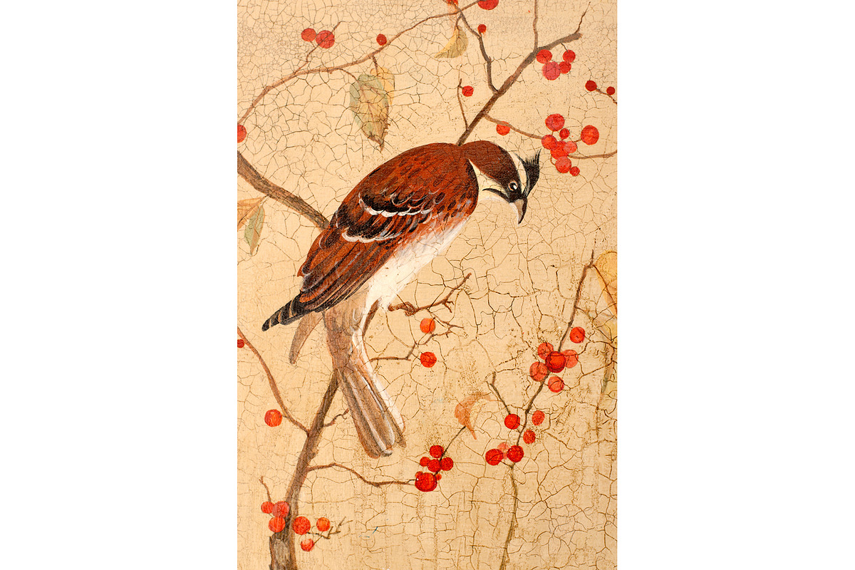 Birds are sitting on the branches, a Decorative Illustration by UltraShop (Photo 5 of 5)
