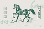Vintage Bundle 2500+ Free Update, an Animal Illustration by Retro Machine (Thumbnail 43 of 170)