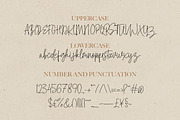 Signatural - Handwritten Font, a Script Font by Bale Type (Thumbnail 6 of 11)