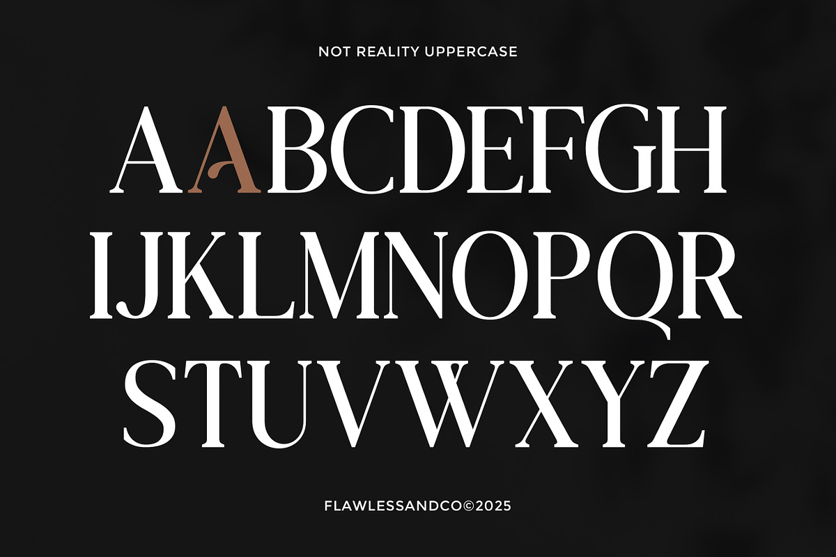 Not Reality - Retro Serif Font, a Serif Font by Flawless And Co (Photo 6 of 10)