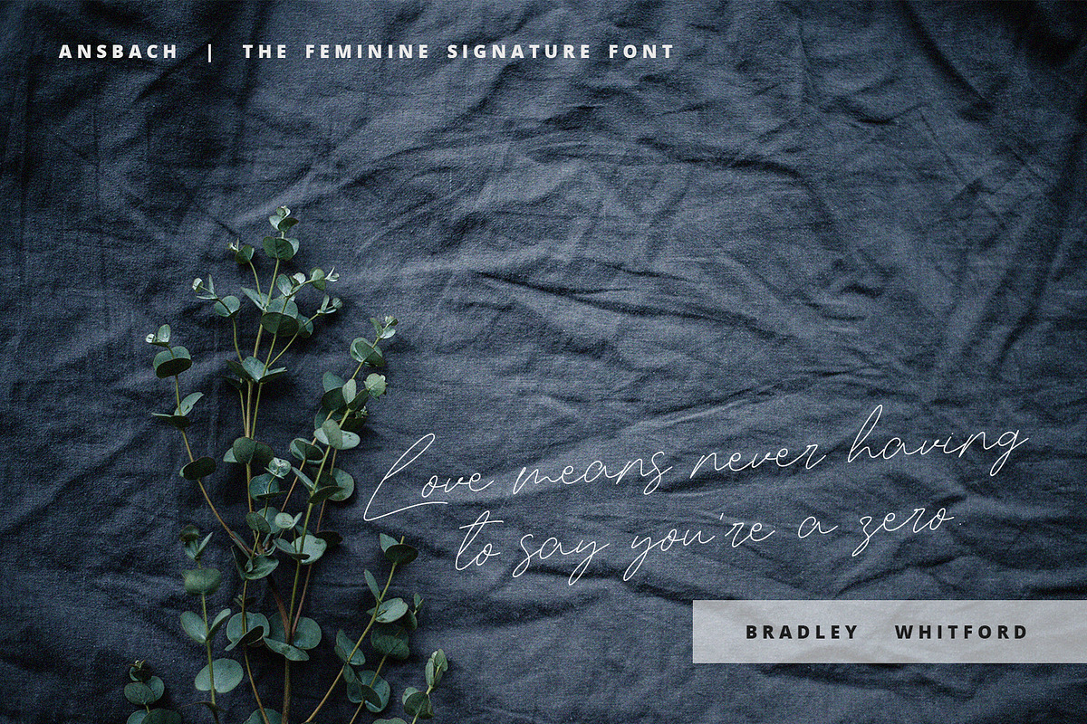 Ansbach | The Feminine Signature preview 5