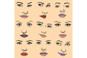 Woman Face Vector Female Facial