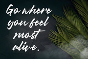Misty Black - Stylish Script Font, a Script Font by Balpirick Studio (Thumbnail 5 of 7)