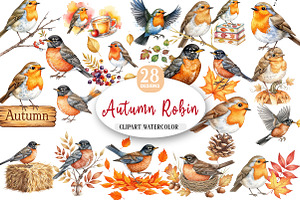 Autumn American Robin Bird Clipart, an Illustration by Watercolor design