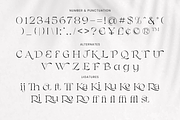 Chanceux Modern Stylish Serif, a Serif Font by Creatype Studio (Thumbnail 6 of 10)