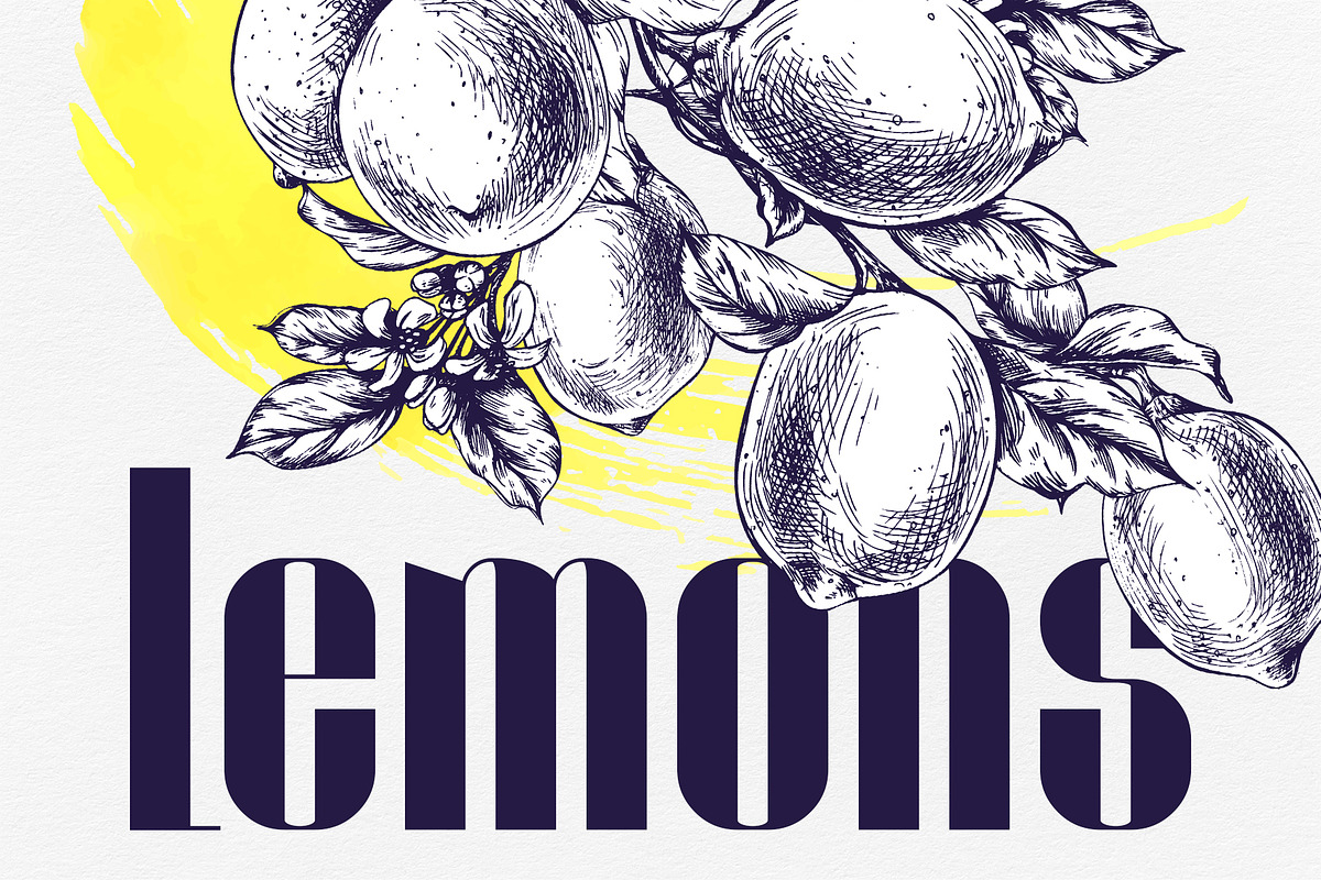 Vintage Lemon Engraving Collection, a Food Illustration by NATASHA CHU (Photo 1 of 14)