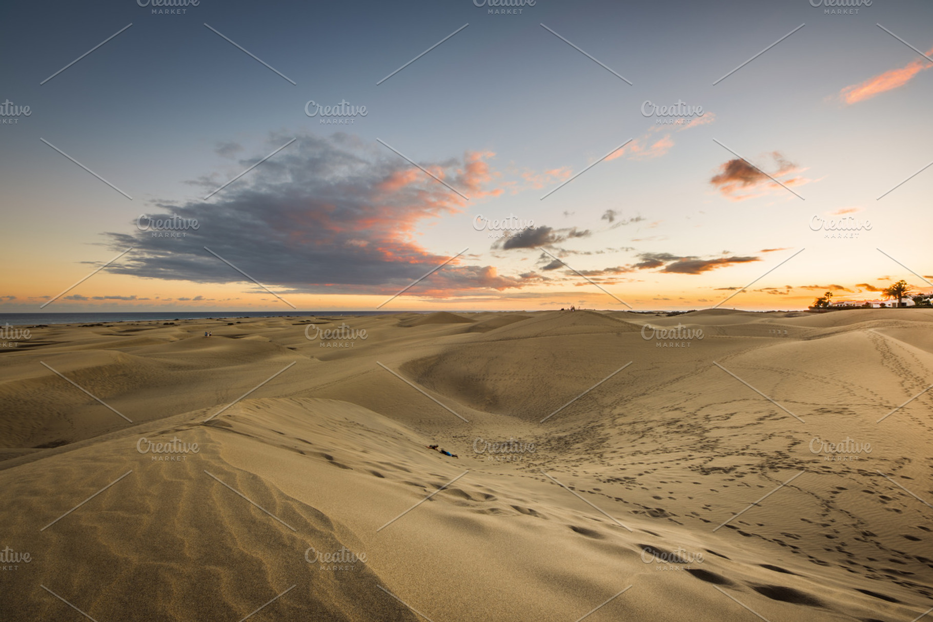 Evening in the desert, a Nature Photo by Photo shack