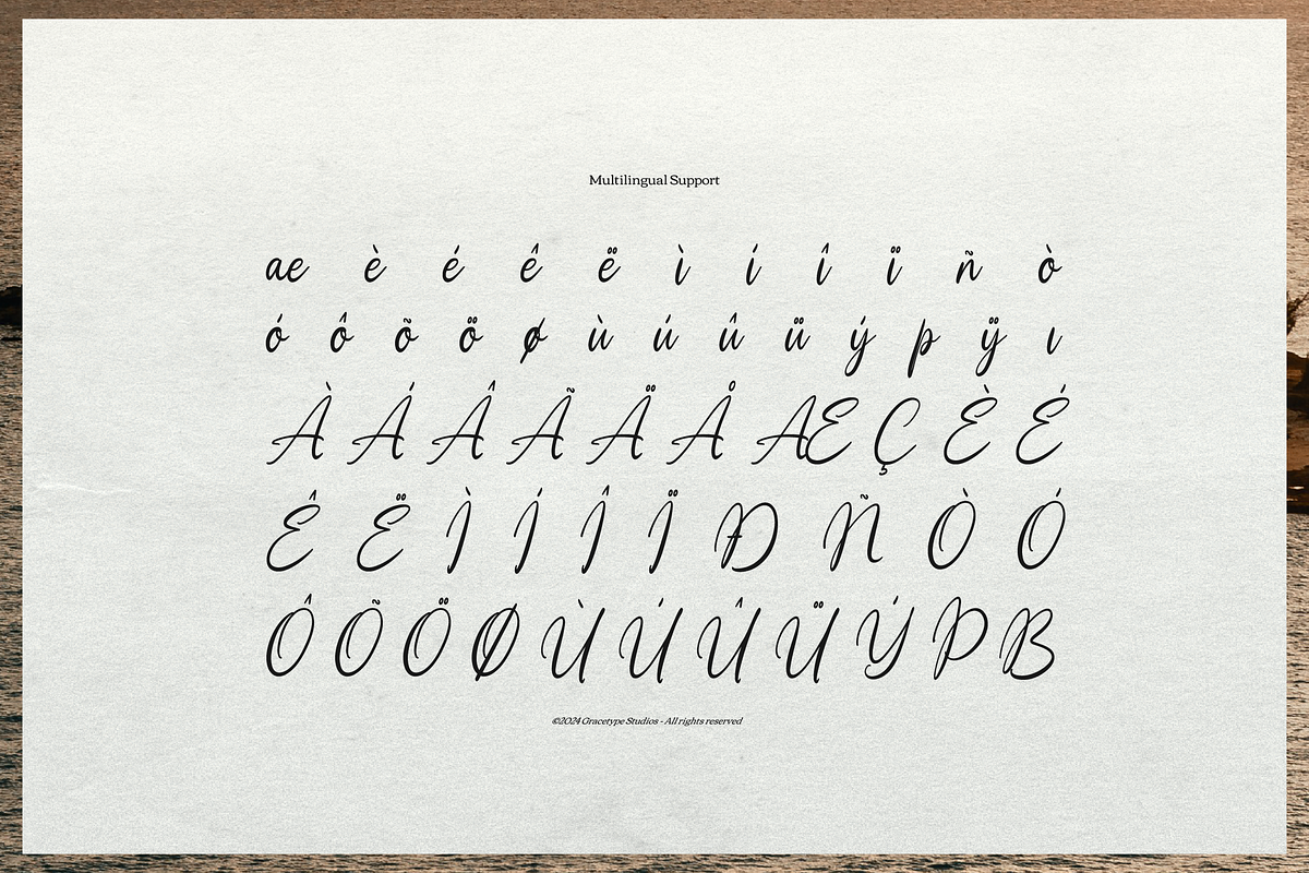 Moonlit Muse Handwritten Script Font, a Script Font by gracetype_studio (Photo 11 of 12)