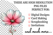 Spring Cosmos Flower Clipart, an Illustration by Daily.Designs (Thumbnail 2 of 8)