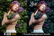 225 Lightroom Presets Bundle, an Action Add-On by Presetrain Co. (Thumbnail 5 of 13)