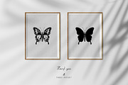 Butterflies vector collection, a Decorative Illustration by Glass Cat Design (Thumbnail 10 of 10)
