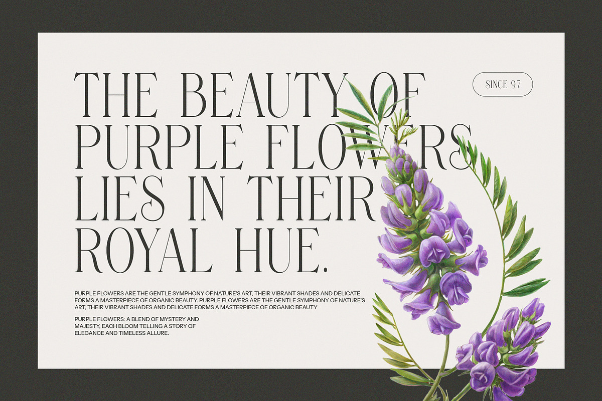 Fankong Minimalist Serif Font, a Serif Font by Perfectype (Photo 5 of 8)