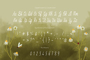 Matricaria Chamomilla Script, a Script Font by Jelena Sardi (Thumbnail 2 of 6)
