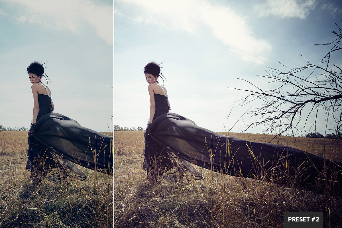Split Tone Presets Mobile + Desktop, a Plug-in Add-On by PhotoSpirit (Photo 2 of 10)