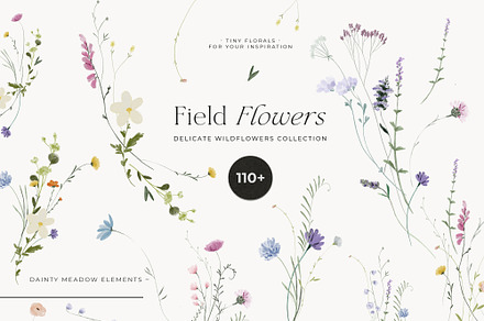 -50%! Field Flowers — wildflowers, a Decorative Illustration by Lana Elanor