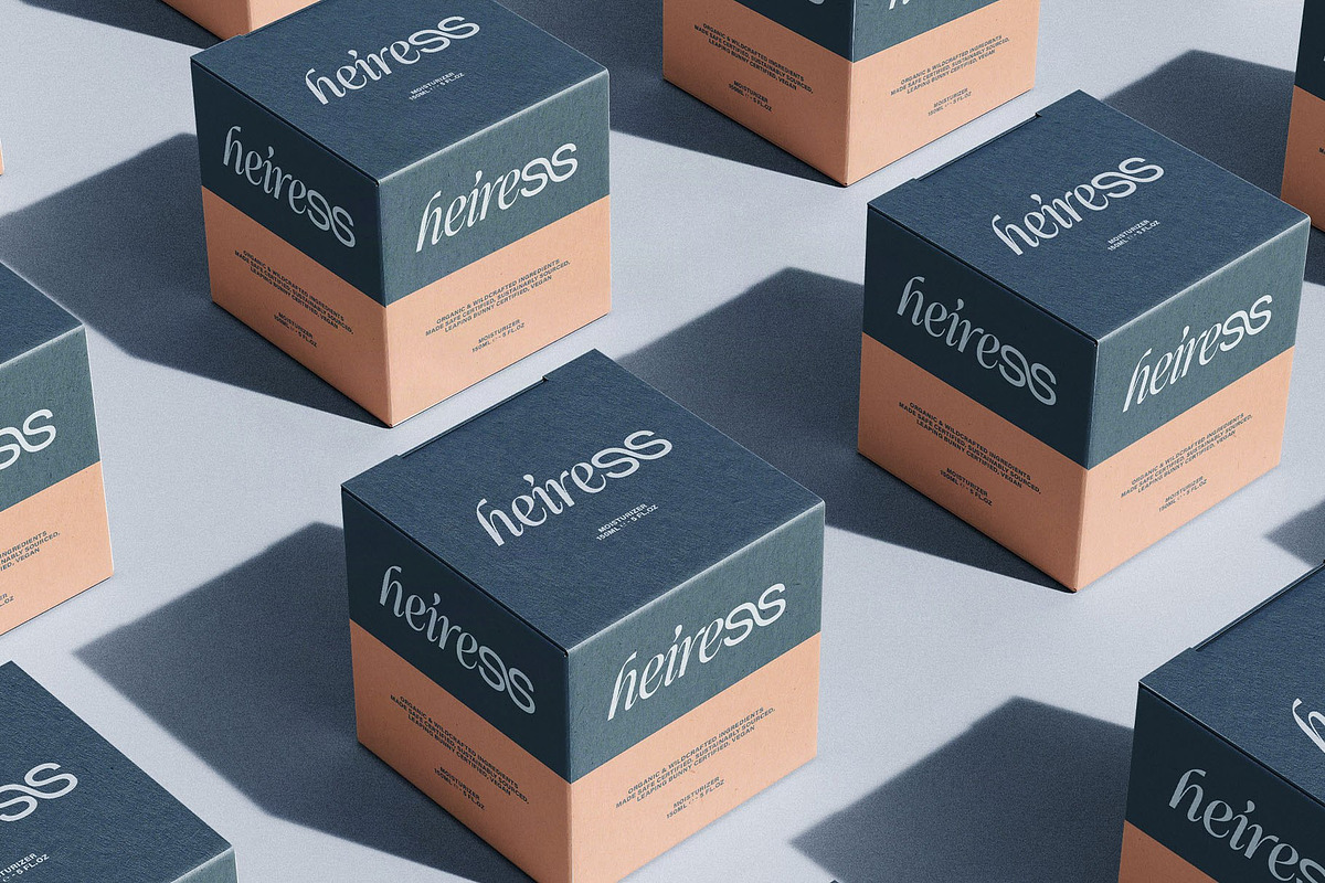 Dessign Maison - Hybrid Display Font, a Serif Font by SilverStag Type Foundry (Photo 16 of 18)