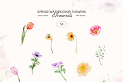 Spring Garden watercolor flowers, a Decorative Illustration by Yuliia Lashevska (Thumbnail 12 of 13)