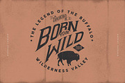 BUFFALO LEGEND, an Animal Illustration by Artistic & Unique (Thumbnail 8 of 8)