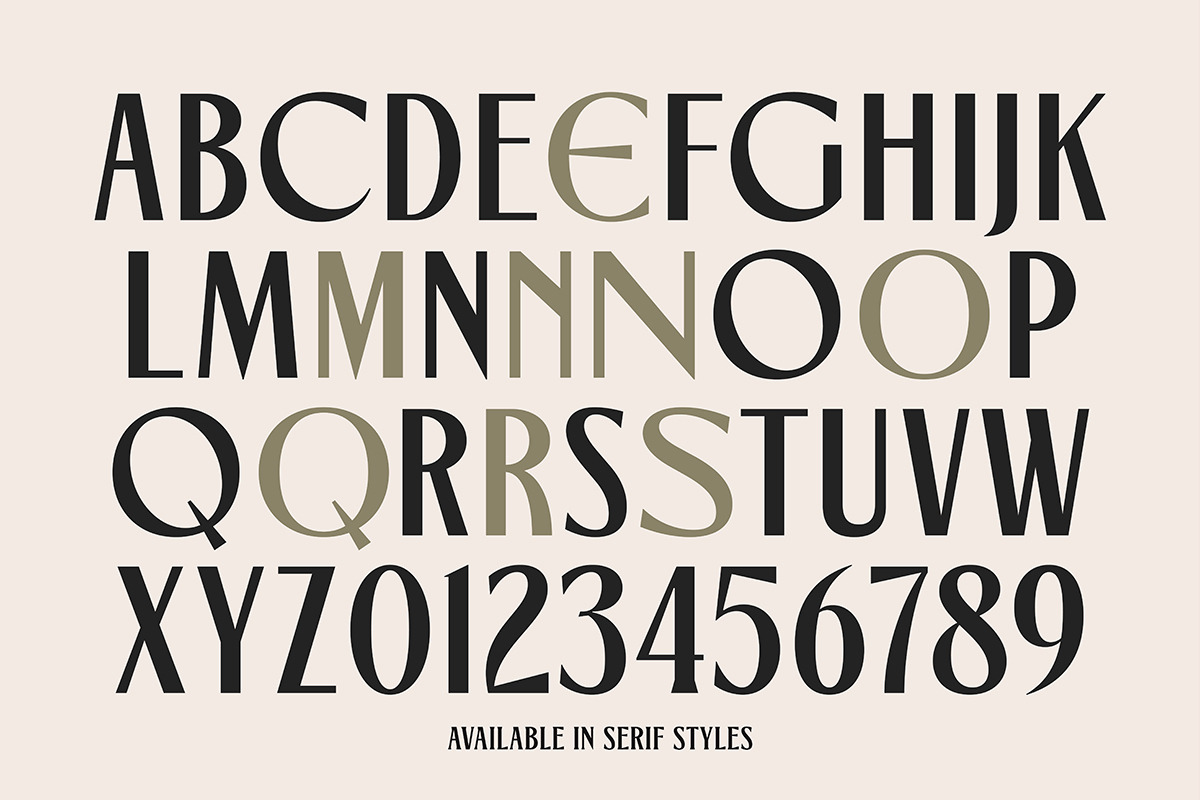 TNSC Gemino - Sans & Serif Typeface, a Serif Font by The Native Saint Club (Photo 13 of 14)