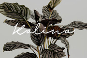 KALINA - Keynote Brand Guidelines, a Presentation Template by Elokka Std. (Thumbnail 2 of 9)