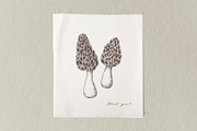 Vector Mushroom Sketches Set, a Seasonal Illustration by Yevheniia (Thumbnail 7 of 7)