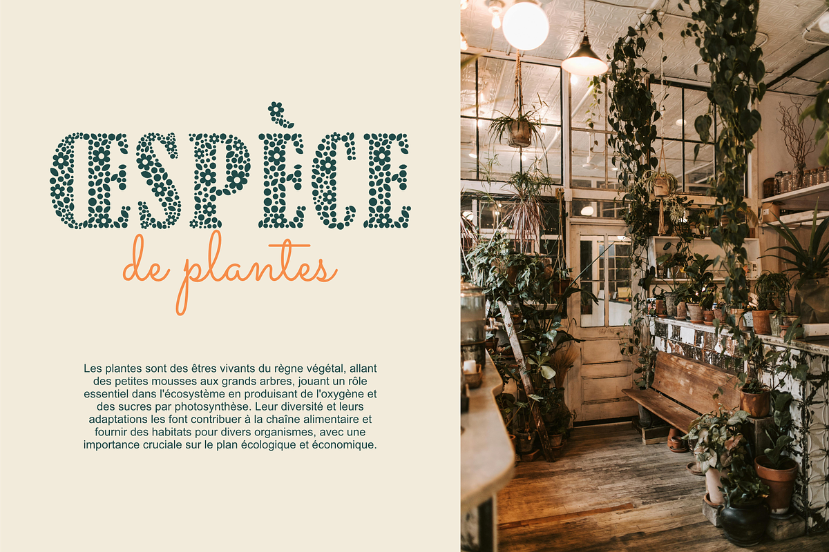 Botany Festival, a Serif Font by LoneArmy (Photo 7 of 10)