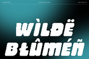 CS Beiran Pixel, a Sans Serif Font by Craft Supply Co. (Thumbnail 6 of 8)