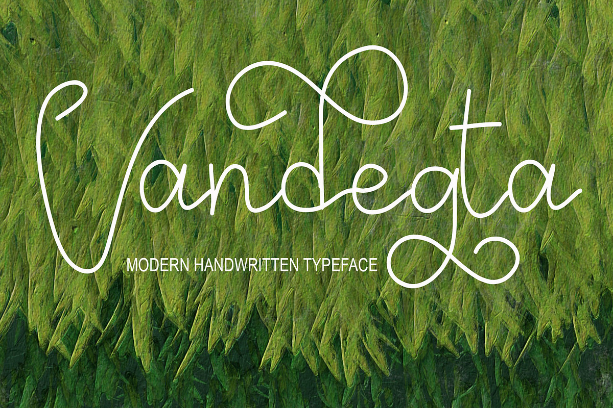 Vandegta, a Script Font by Canden Meutuah (Photo 1 of 8)