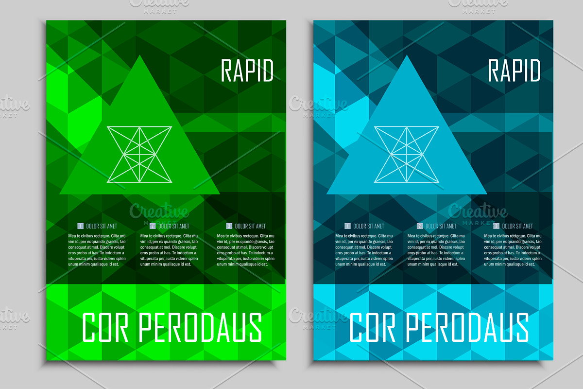 Brochure triangular design, a Brochure Template by Haisonok