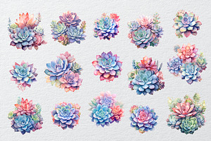 15 Succulents Watercolor Clipart