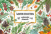 Winter collection, a Decorative Illustration by Margo Miller (Thumbnail 1 of 9)