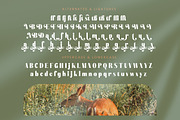 Bistika Modern Display Serif, a Serif Font by timelesstype.co (Thumbnail 19 of 20)