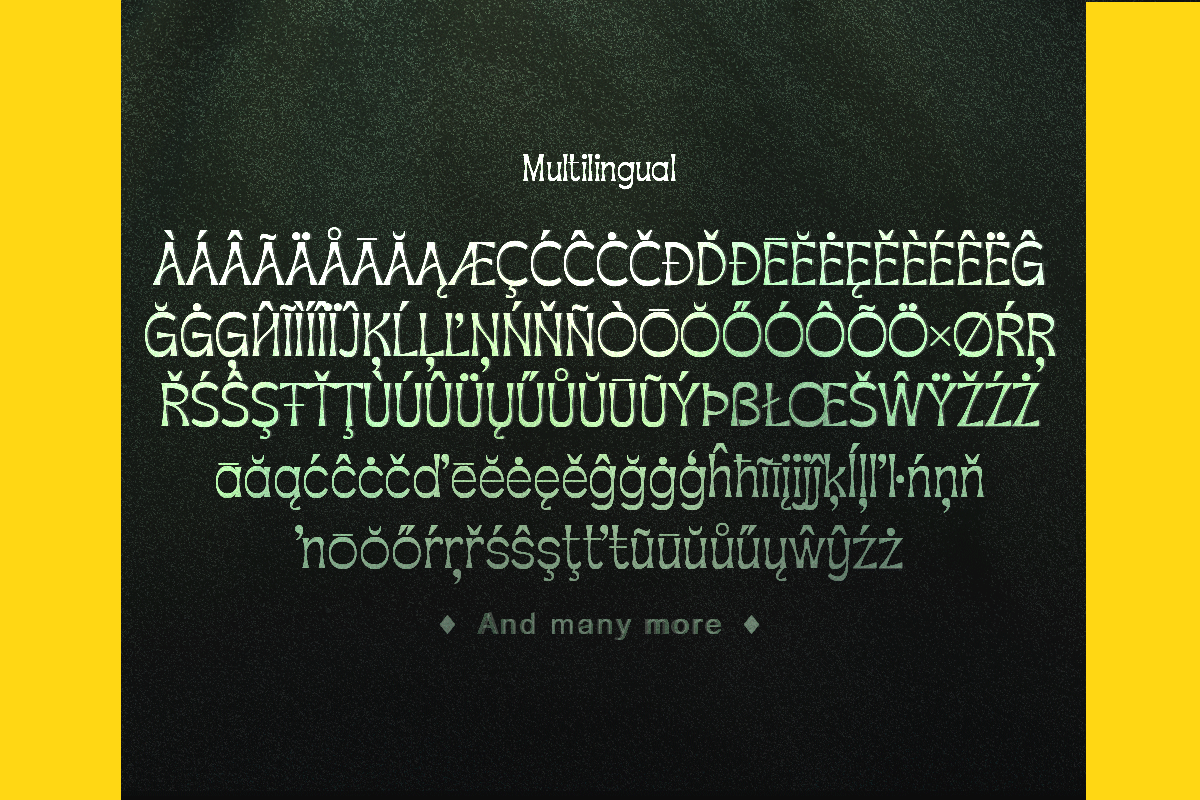 Apagah Reverse, a Serif Font by Differentialtype (Photo 10 of 10)
