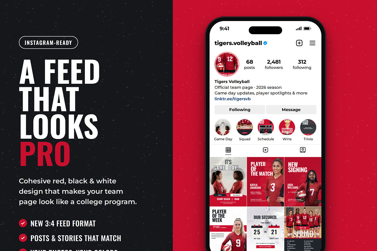 Volleyball Social Media Posts, a Social Media Template by Daring Digies (Photo 3 of 10)
