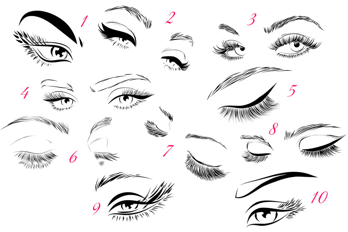 Eyelashes and Eyebrows Vector, an Illustration by esylvia (Photo 2 of 2)