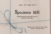 Specimen 1651: Vintage Font Family, a Serif Font by Mneme (Thumbnail 1 of 14)