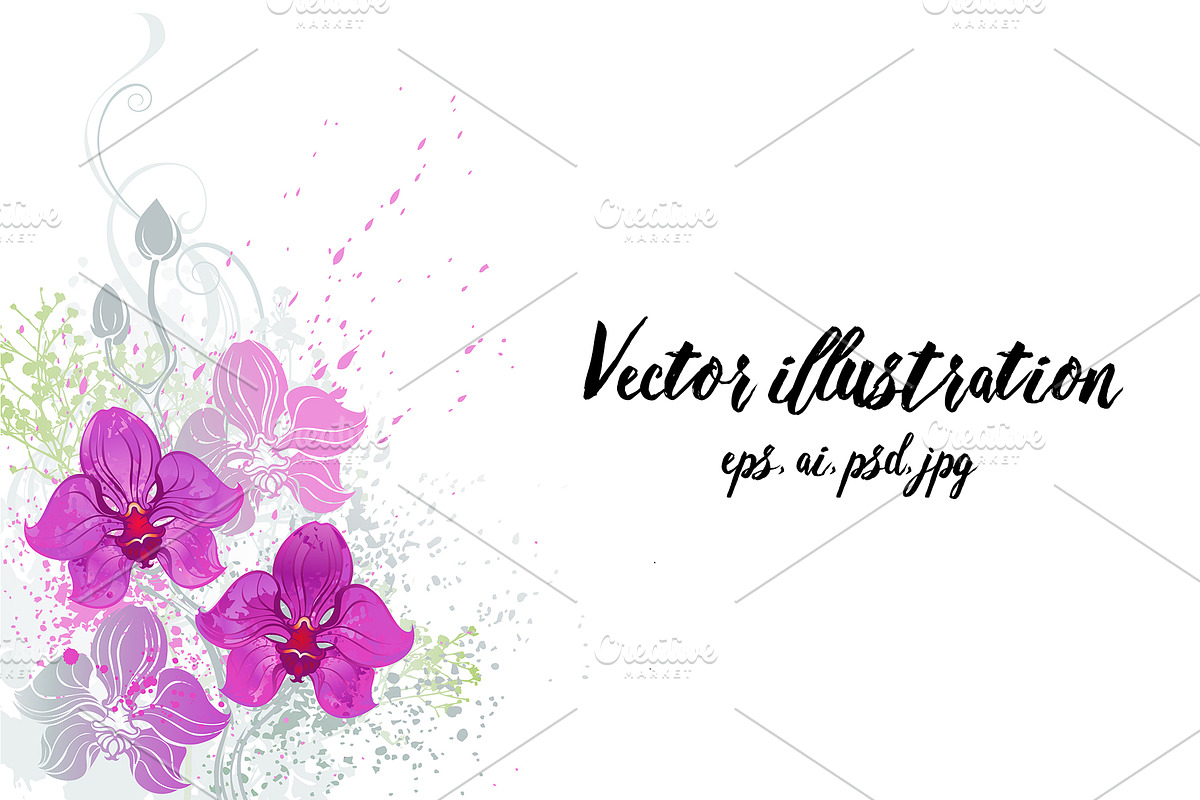 Pink Orchid, a Decorative Illustration by blackmoon9