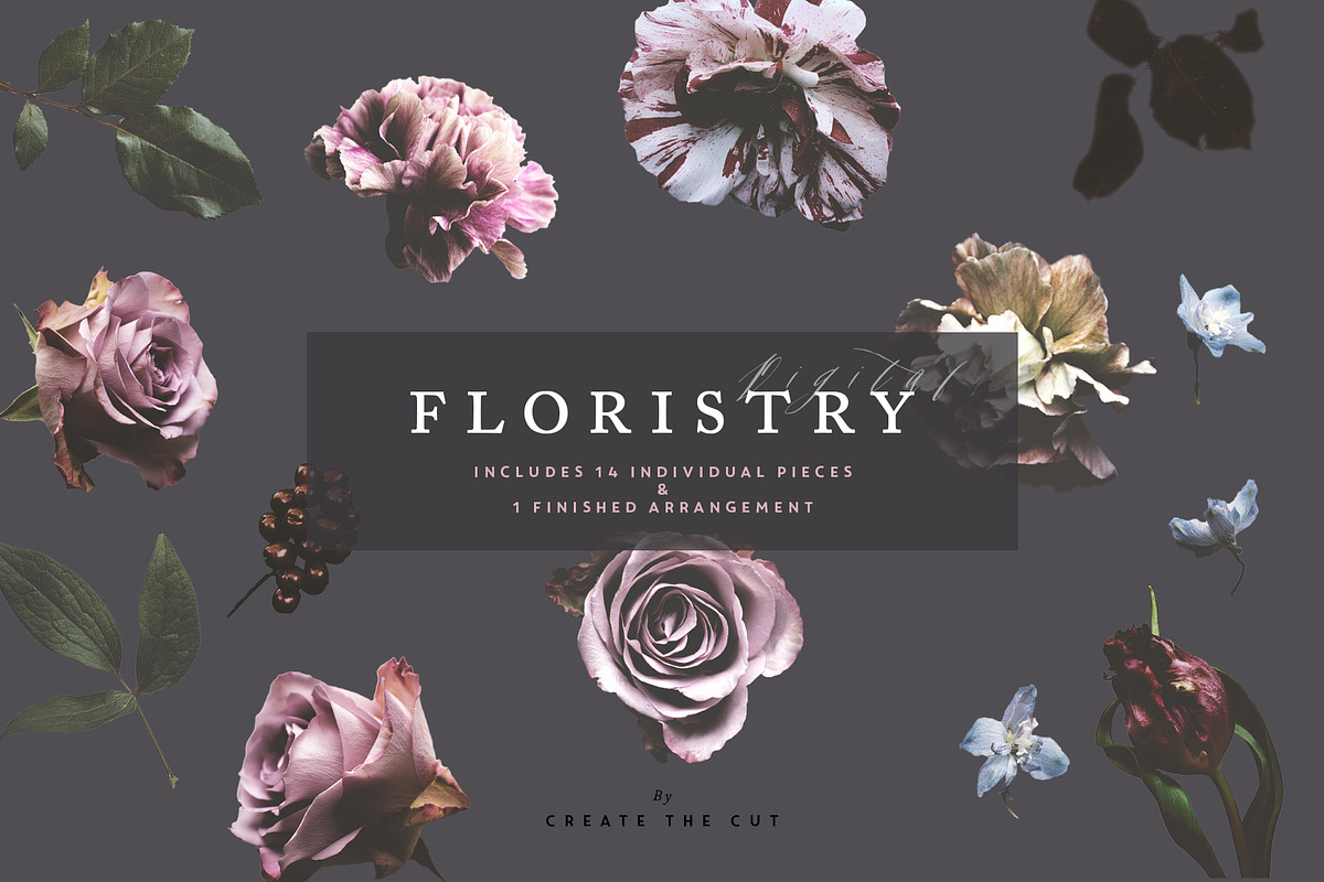 Digital Floristry - Floral Portraits, an Illustration by Create The Cut (Photo 8 of 10)