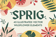 SPRIG: 40 Vector Wildflower Elements, an Object Graphic by Elevens (Thumbnail 1 of 6)